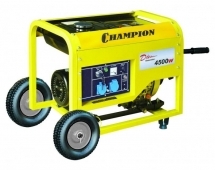   Champion DG6000E