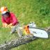  Stihl HT 131 (4182-200-0092)