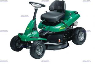  WEED EATER WE 301 SmartCut  (960260001)