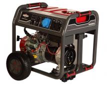   Briggs&Stratton 8500 EA (030722)