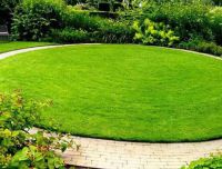 Уход за газоном. Стрижка газона Уход за газоном. Стрижка газона