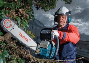 ����� ���������