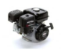   Briggs & Stratton RS 750