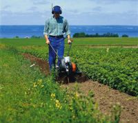 Мотоблок или культиватор Мотоблок или культиватор