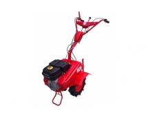  -100 -   Briggs & Stratton Vanguard 6,5 ..