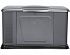   Briggs & Stratton G110 (40491)