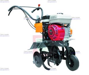 ����������� Pubert ELITE 55H C
