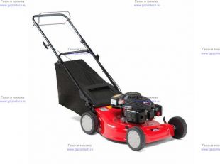 ������������� ���������� MTD 53 S