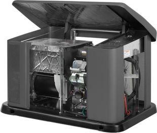 ��������� ������� Briggs & Stratton G110 (10 ���)