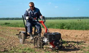 �������� Grillo � ����� � G85 CH395 (� ��������������)