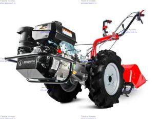 �������� Grillo � ����� � G85 CH395 (��� �������������)