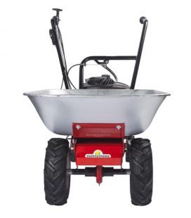 ���������� ������� Eurosystems CARRY B&S (920000300)