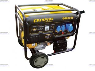 ��������� Champion GG8000-E