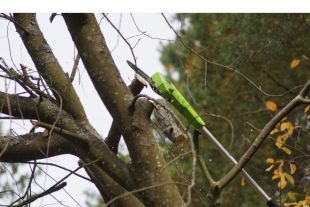 ���������-�������� ���. Greenworks G40PSF (1401107) ��� ��� � ��