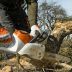 ���� �������������� Stihl MSA 220 C-B, 35 �� (1251-200-0148) ��� ���. � ��