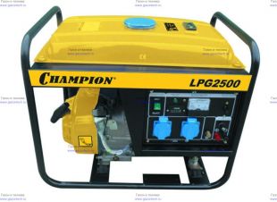 -  Champion LPG 2500