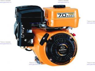 ��������� ���������� Robin SUBARU EX 21 �������