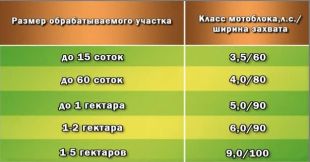 �������� "���" ��-1�1�9