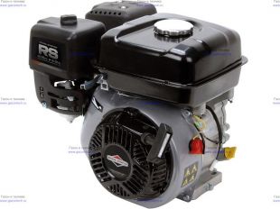   Briggs&Stratton RS 950 (13U232000101)