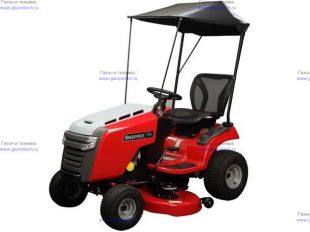 ������ �� ������ Snapper (1695966)