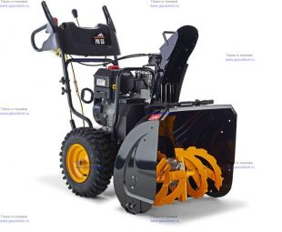 ������������ ���������� McCulloch PM 55