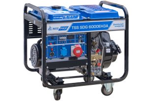 ������ ��������� TSS SDG 6000EH3A