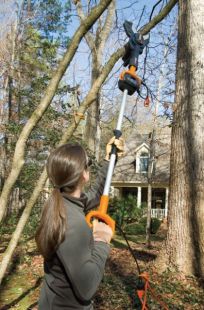    Worx WG308E JAWSAW (   )