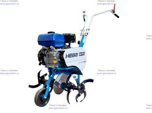 ����������� ���������� ���� ��100-ZS (GB200)