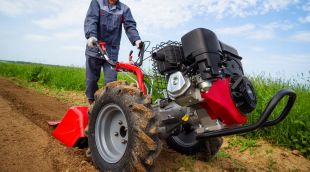 �������� Grillo � ����� � G85 CH395 (� ��������������)