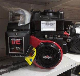   Briggs & Stratton 6.0 I/C D19 +.