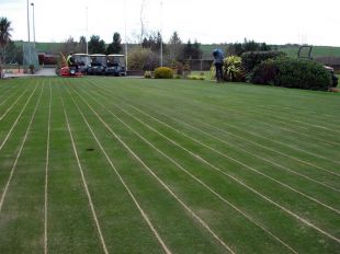 ����������� Redexim Vibra-Sandmaster 1000