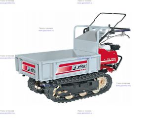 ����������� Efco TN 4500