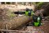 Пила аккумуляторная Greenworks G40CS30 (20117) без АКБ и ЗУ Пила аккумуляторная Greenworks G40CS30 (20117) без АКБ и ЗУ