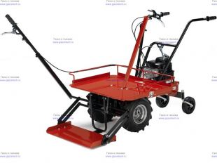 ��������� Eurosystems ��� Carry (905252700)