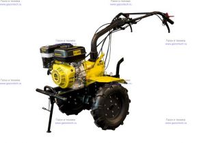 �������� � ����� ������ ���������� Champion BC 1193