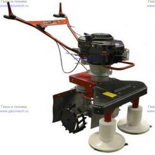 ������� �������� ��� ��� ������������ �������