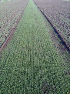 ������� Redexim Turf Tidy 1310 / 1710