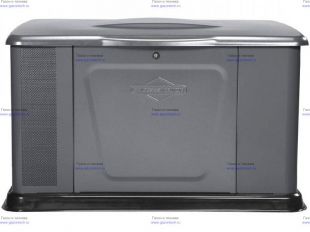 ��������� ������� Briggs & Stratton 11000 (040491)