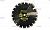   CHAMPION  PRO 350/25,4/10 Asphafight (C1610)