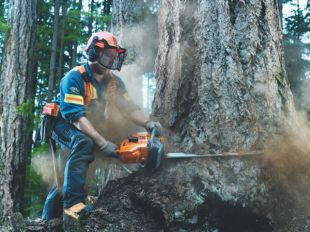 ��������� Husqvarna 272 XP (965 68 12-01) ��� ���� � ����