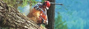 ��������� Husqvarna 254XP
