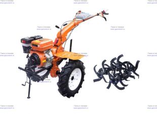 �������� ���������� Green Field �� 1100D
