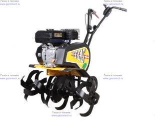 ��������������� Texas Lilli 535TG DUAL
