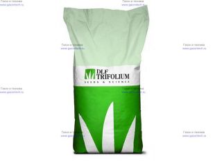 ����� DLF-Trifolium Robustica 20 ��