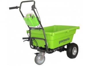    Greenworks G40GC (7400007)    