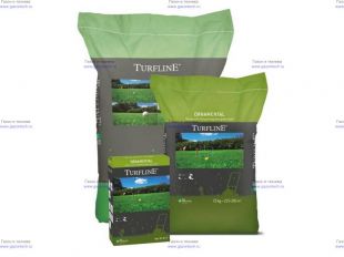 ����� DLF-Trifolium Ornamental 20 ��
