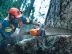��������� Husqvarna 576 XP (��� ���� � ����, ����.������) (965 17 58-01)