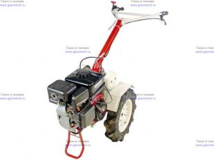 �������� ��� ������� B&S Vanguard 6,0 �.�.