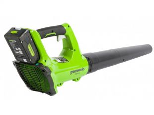   Greenworks G24AB (2404807)    