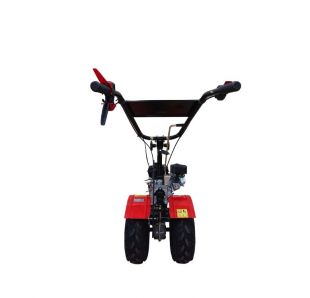 �������� ���-1�17 (��. Lifan 170F 7,0 �.�.)